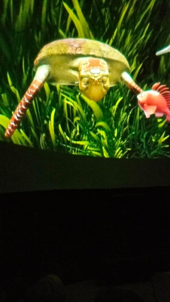 received_992590309888514.jpeg