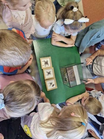 IMG-20261007-WA0019