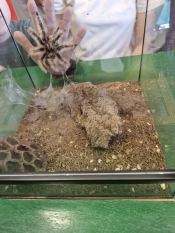 IMG-20261007-WA0017